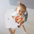 LIONELO-KRZESELKO-DO-KARMIENIA-FOTELIK-Z-TACKA-2w1-Wiek-dziecka-6-m.jpg