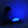 CLOUD-B-ZOLW-3w1-LAMPKA-NOCNA-PROJEKTOR-POZYTYWKA-Kod-producenta-CLTT-7323-T2.jpg