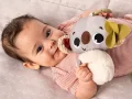 ZAWIESZKA-GRZECHOTKA-TINY-LOVE-KOALA-JANIS-Plec-Chlopcy-Dziewczynki.jpg