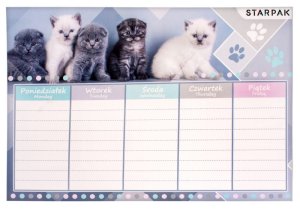 Plan Lekcji Cuties Kotki Starpak 409085