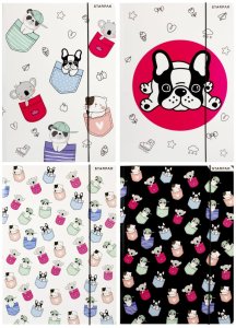 Teczka Z Gumką A4 Minisy Starpak 491062