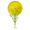 c32bd23b537b86fcf512d4c6b0091945.webp