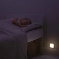 25652_3.jpg