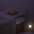 25651_3.jpg