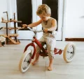 Lachie-1.jpeg