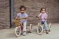 Trybike-2024-matt-126-.jpg