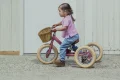 Trybike-2024-matt-171-.jpg