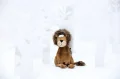 6846f5c7b6867-metusa-leo-lion-beaststown.jpeg