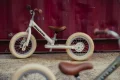 Trybike-matt-2024-12-.jpg