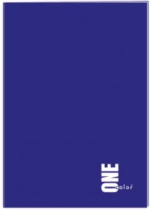 Zeszyt A4/96K Kratka Interdruk One Color