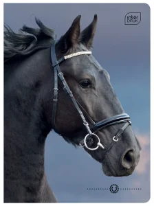 Zeszyt A5 32 Kartki Kratka 70G Wild Horses Interdruk