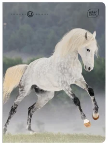 Zeszyt A5 32 Kartki Kolorowa Linia 70 G Wild Horses Interdruk