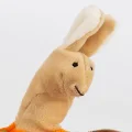 6846e5dbadfb6-finger-puppet-glove-animals.jpeg