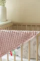 foto_add-65481.jpg